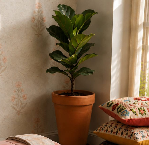 Planters
